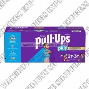 Huggies Pull-Ups 2T-3T Boys Design