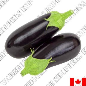 Baby Eggplant