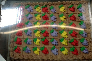 Kirkland Signature Chocolate Cake with Buttercream Icing