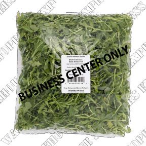 Baby Arugula