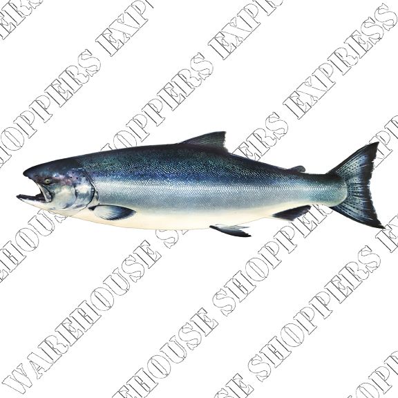 Kirkland Signature Organic Whole Chinook Salmon