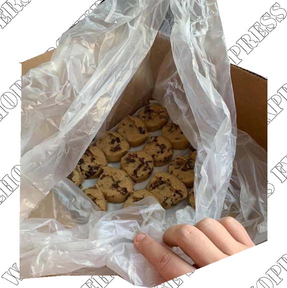 Kirkland Signature Chocolate Chunk Cookie Dough