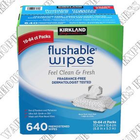 KIrkland Signature Flushable Wipes---- Order by Wed 15---Save $7