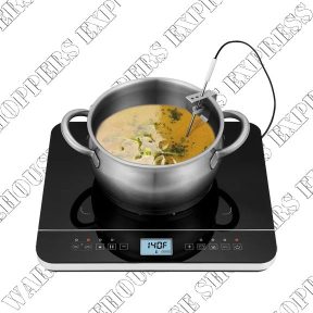Salton  Induction Cooktop